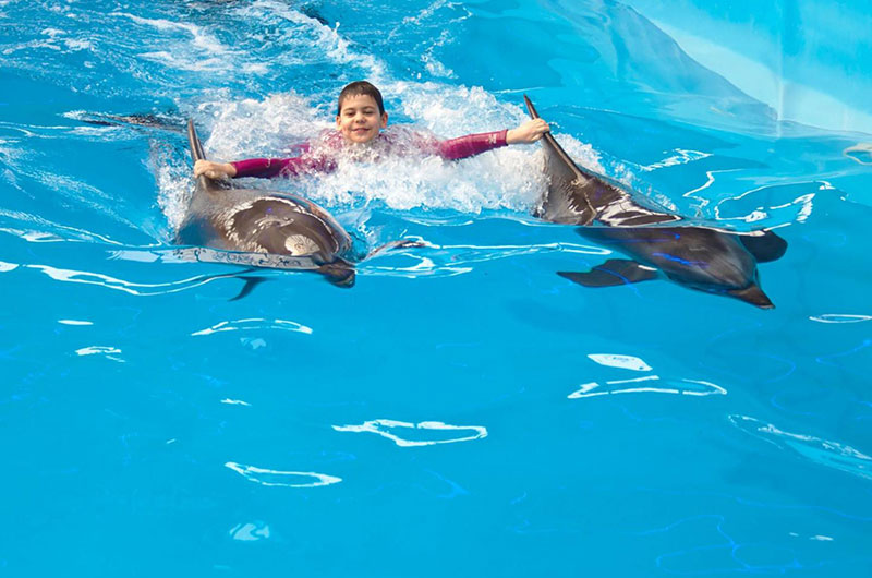 Swim With Dolphins Excursion in Sharm el Sheikh